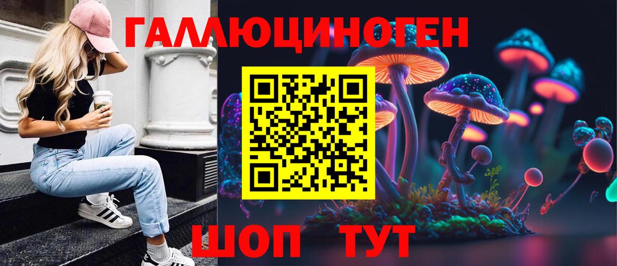 Галлюциногенные грибы Psilocybe  Вход с VPN  Аксай 