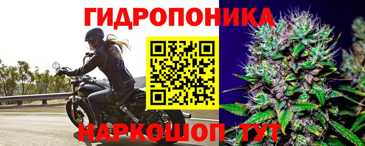 Шишки марихуана планчик  Канабис сатива  Аксай  Вход с VPN  Каннабис LSD WEED 